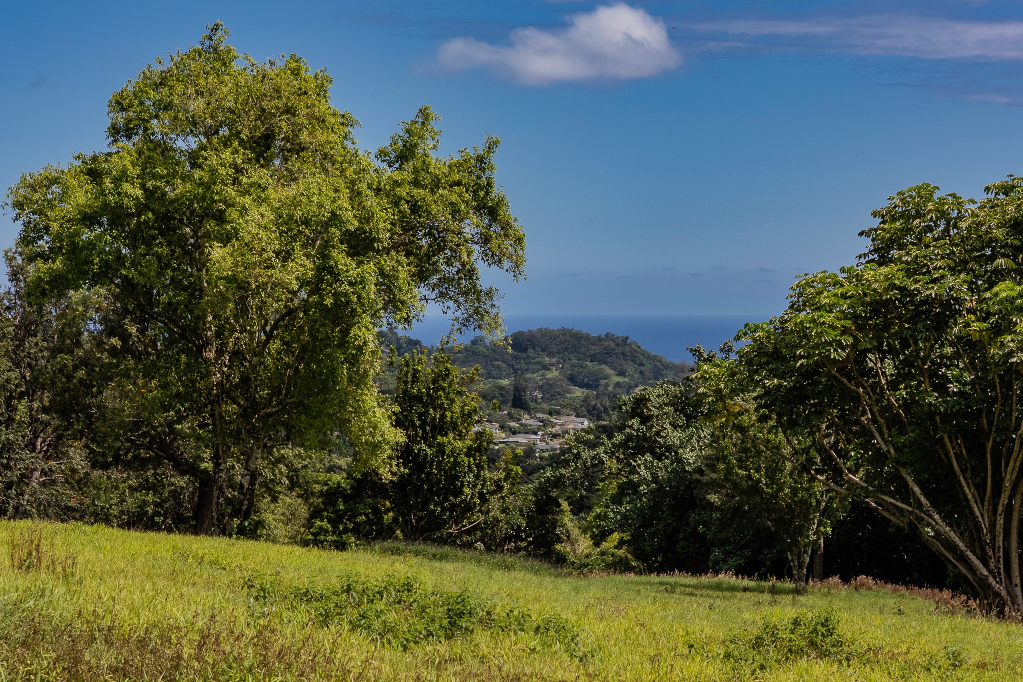5708 Kua Road property image 10