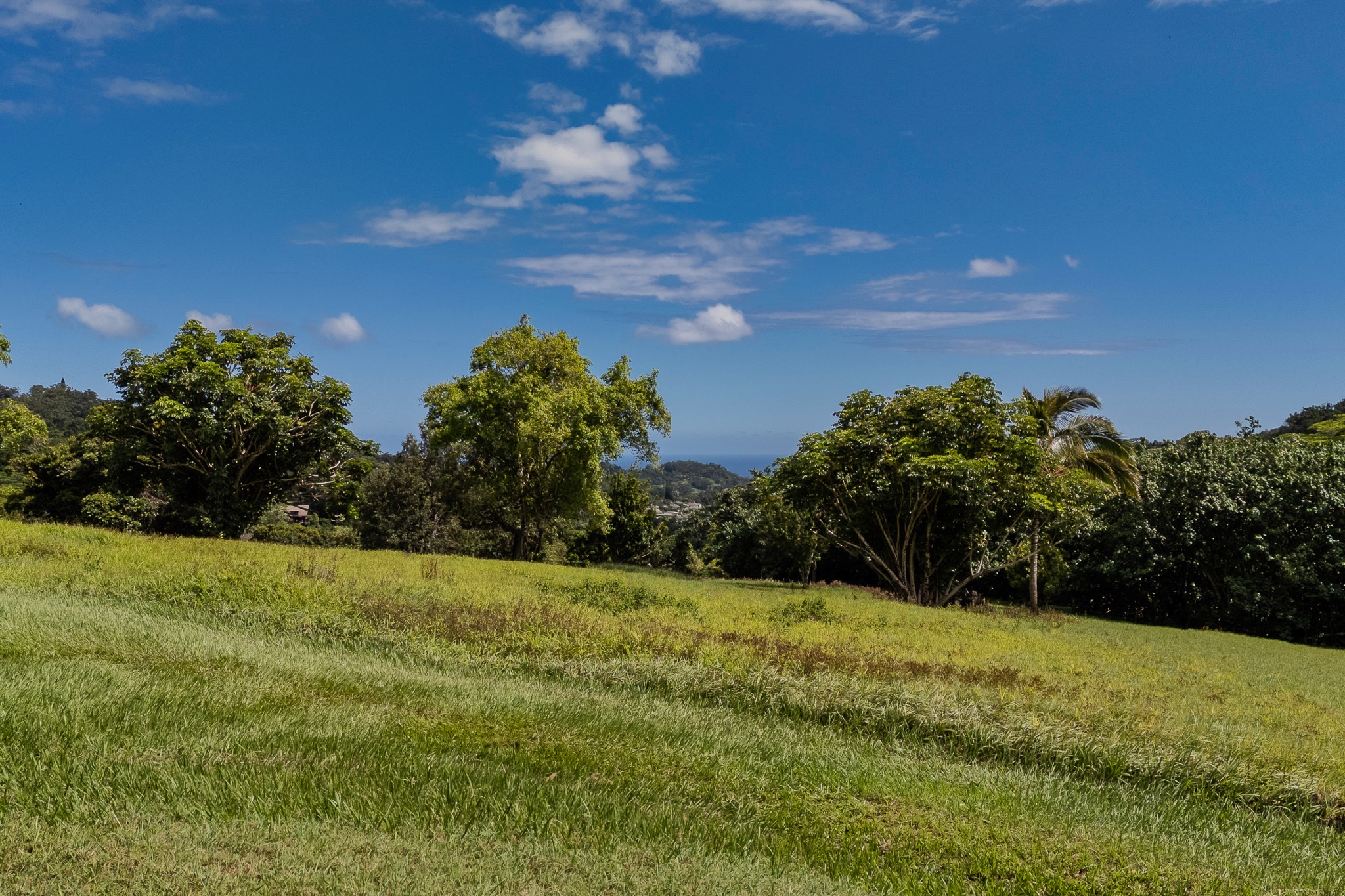 5708 Kua Road property image 11