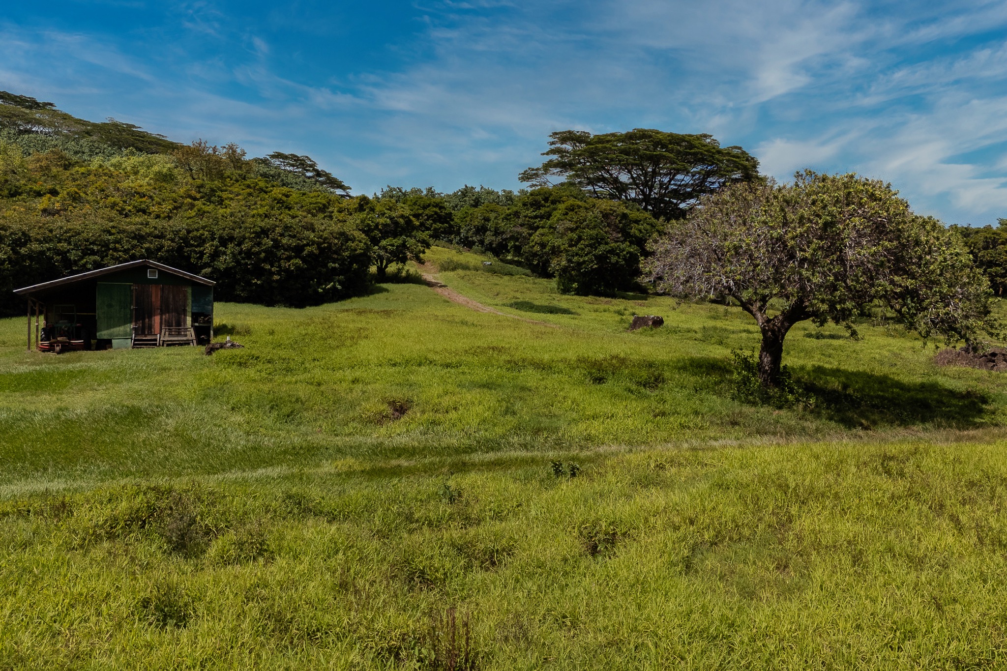 5708 Kua Road property image 13