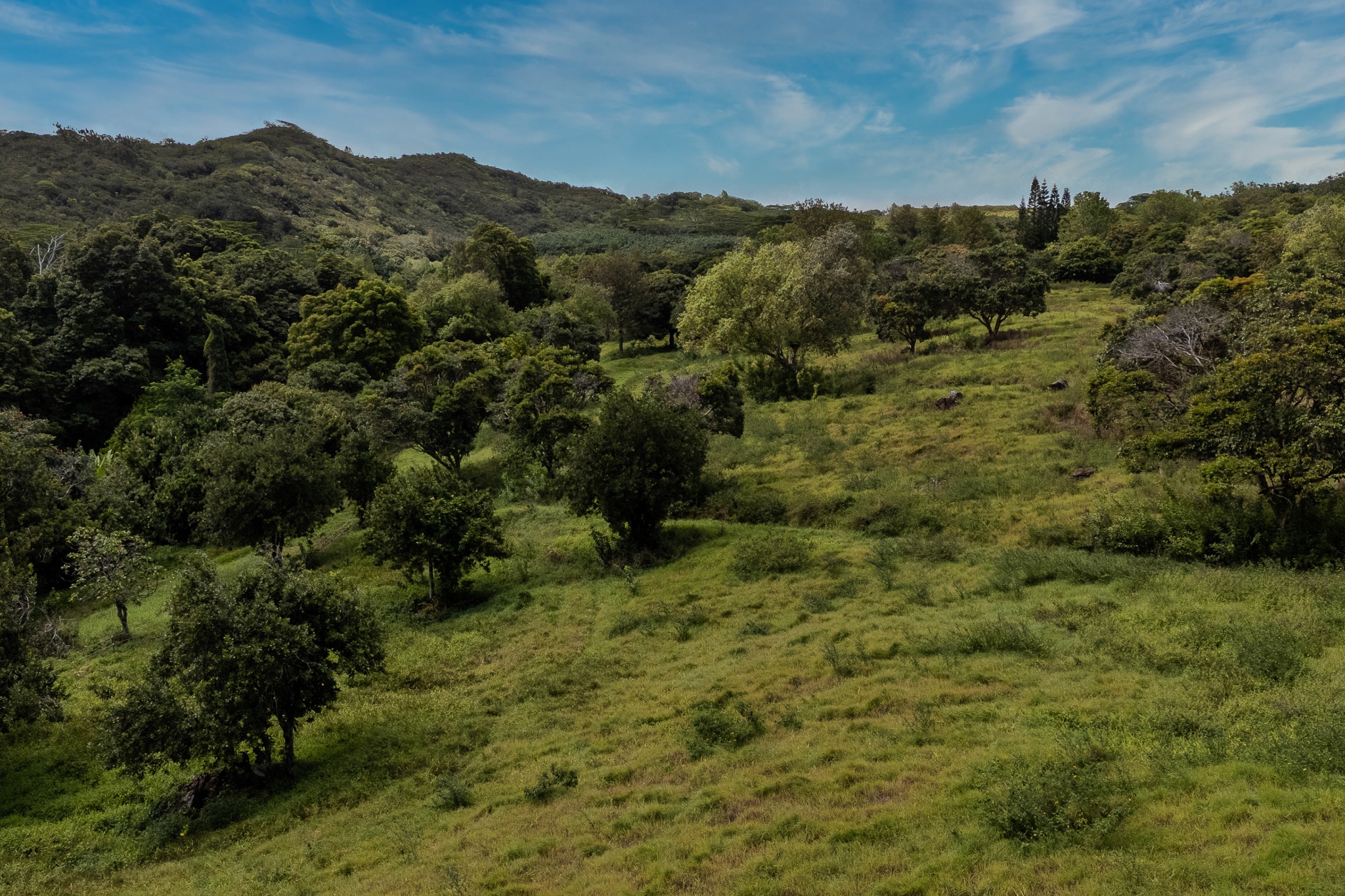 5708 Kua Road property image 14