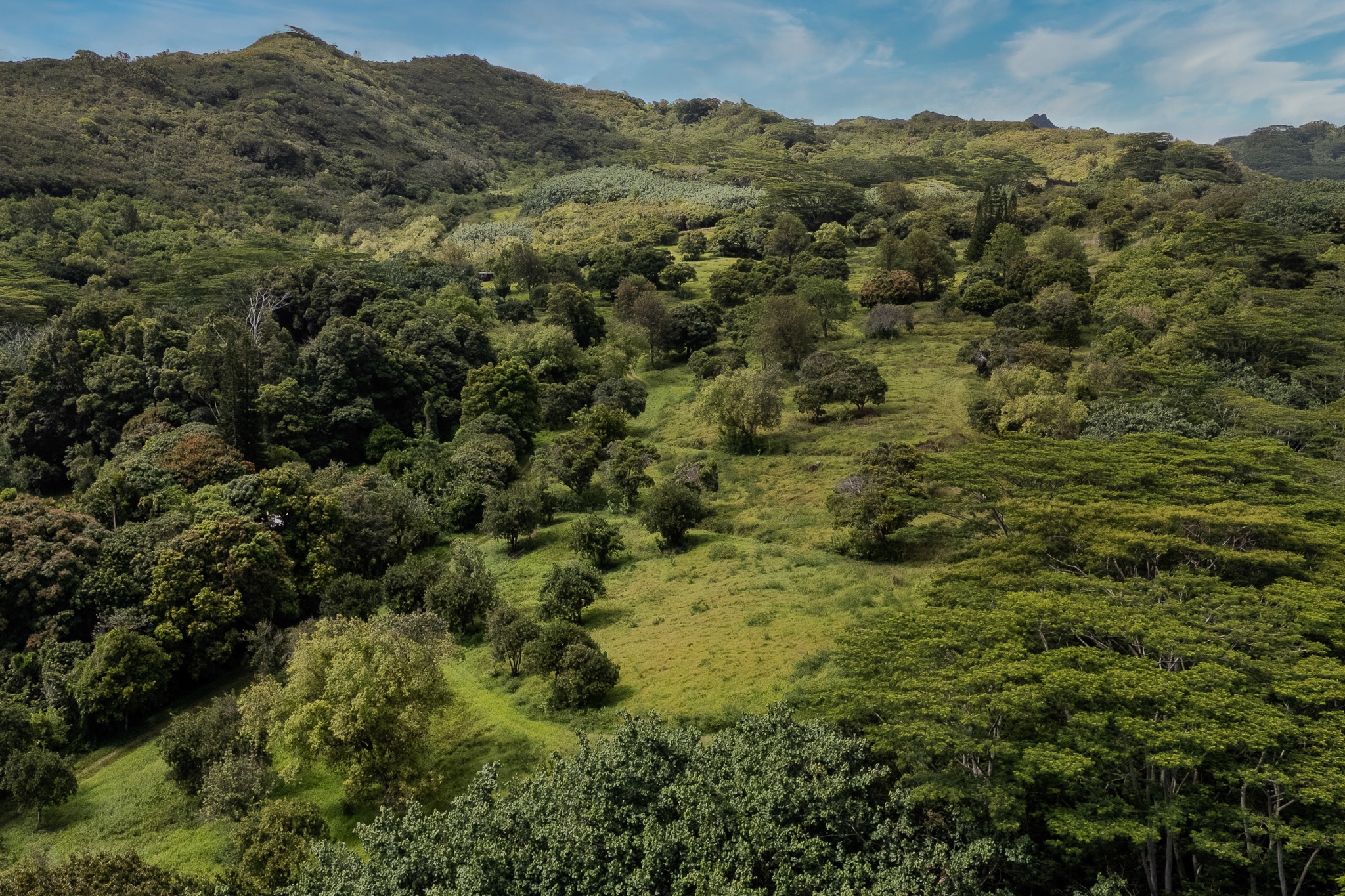 5708 Kua Road property image 15