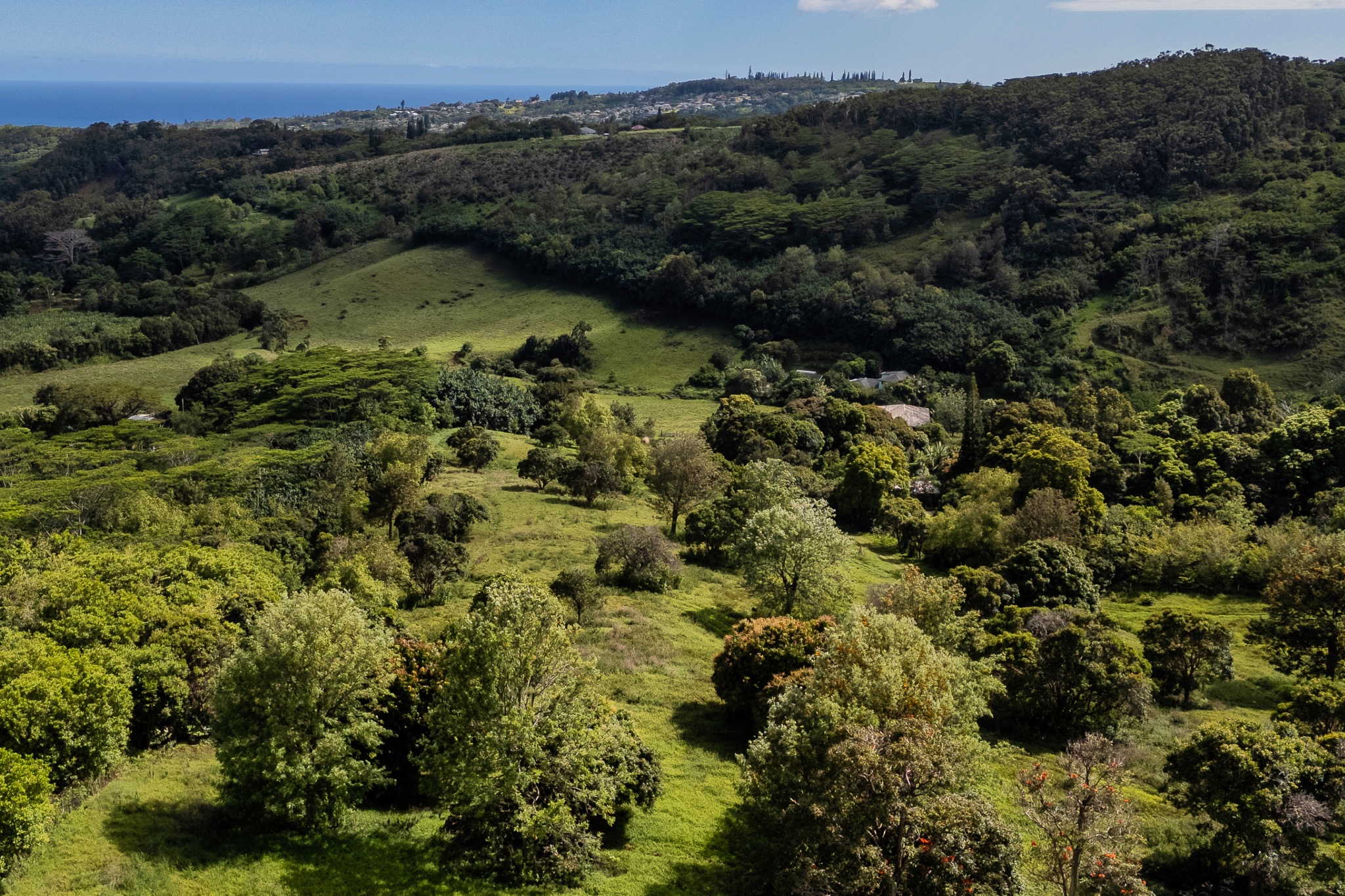 5708 Kua Road property image 17